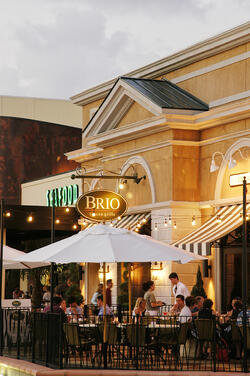 The Woodlands Houston Texas