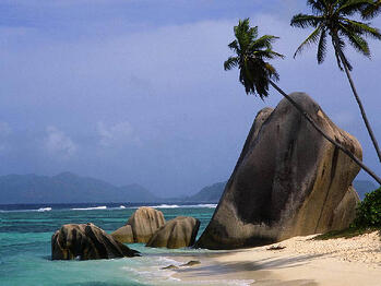 Palm_beach_with_rocks_800