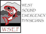 WSEP-logo