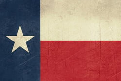 texasflag