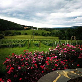 loudoun_county_winery.jpg