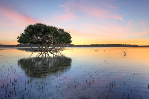 Lake-Kissimmee.jpg